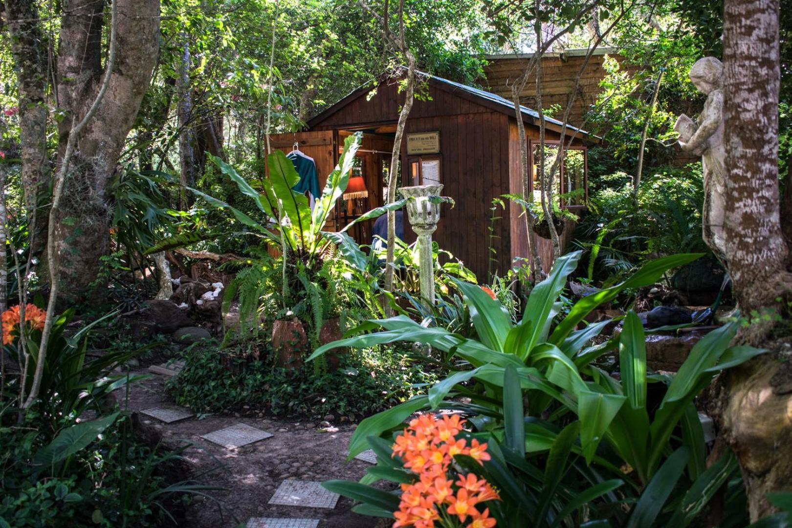 Nature'S Valley Health Retreat A Hide Away In The Forest Екстериор снимка