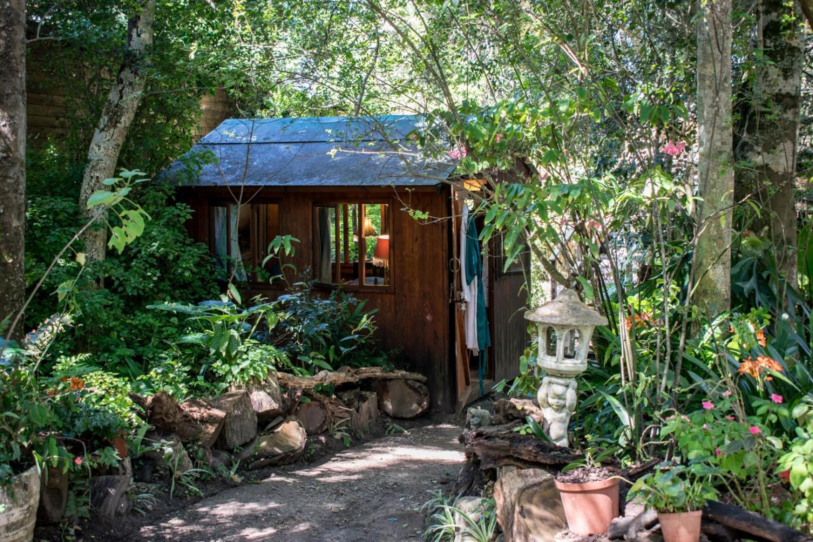 Nature'S Valley Health Retreat A Hide Away In The Forest Екстериор снимка