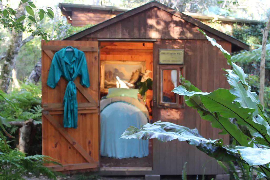 Nature'S Valley Health Retreat A Hide Away In The Forest Екстериор снимка